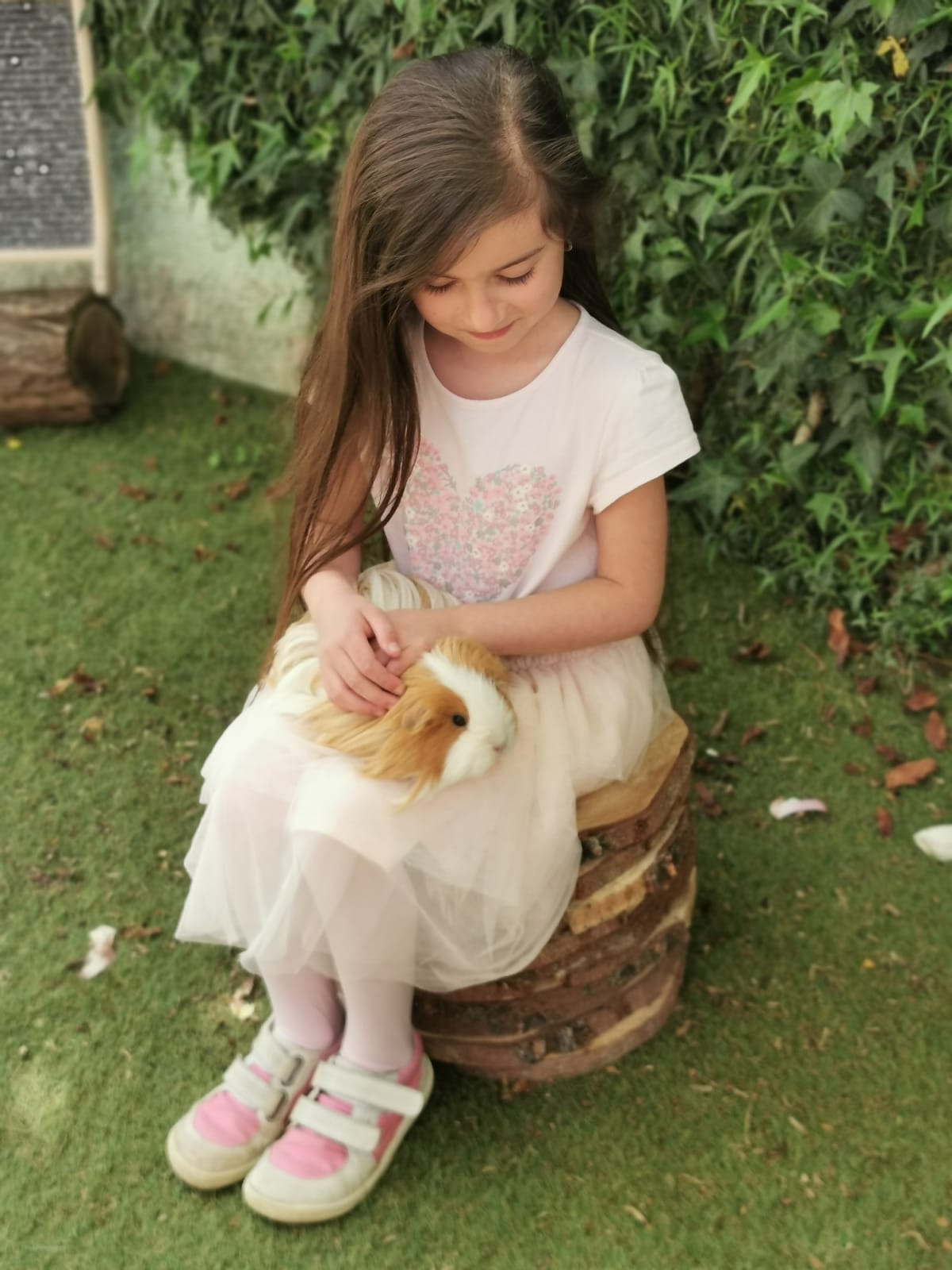 54d5176a-26b9-4f56-b486-dd4c73acb58f